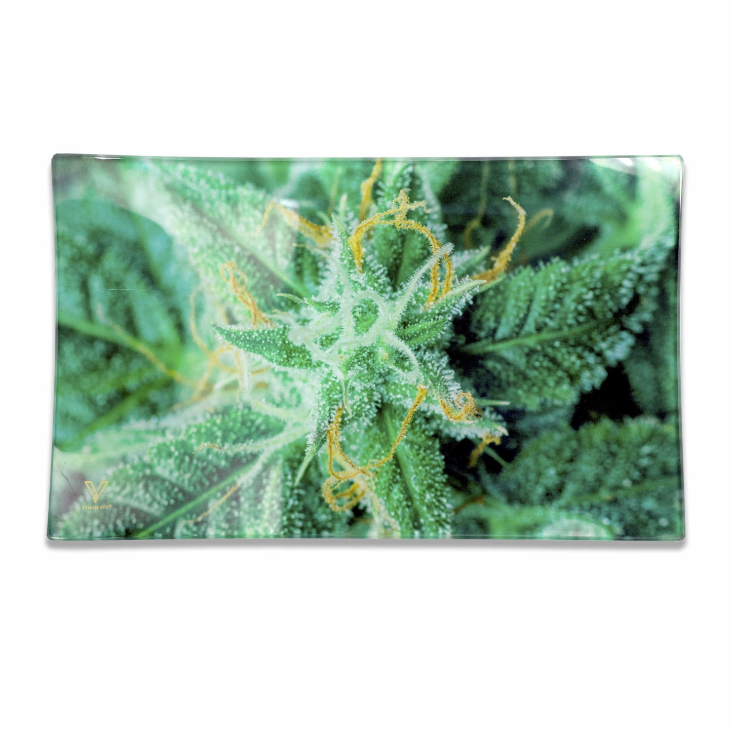 AK 47 Glass Rollin' Tray