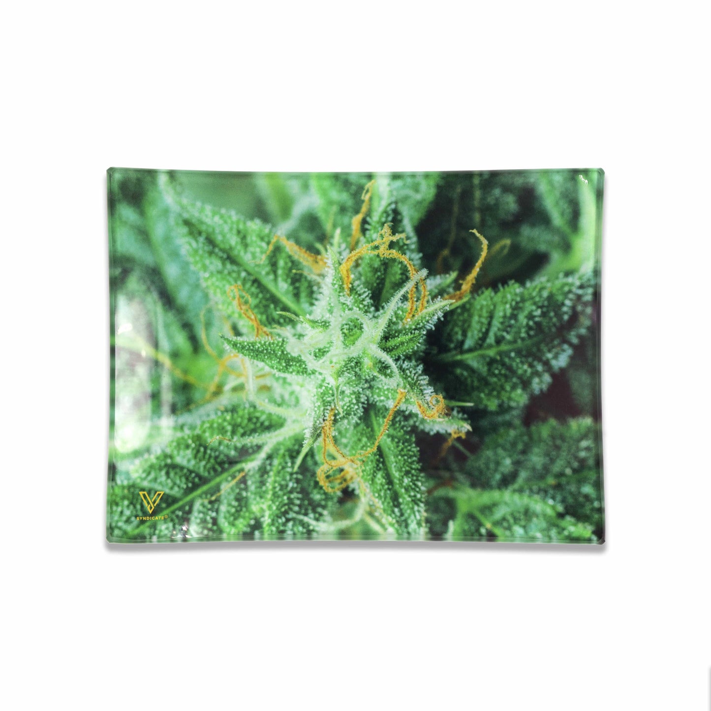 AK 47 Glass Rollin' Tray